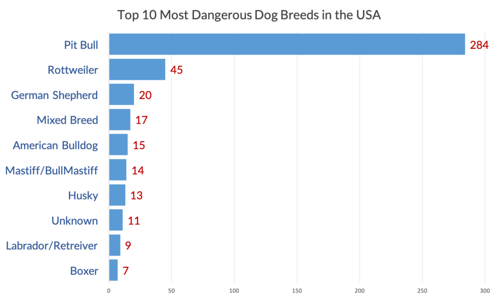 Top 10 most dangerous dog breeds in America