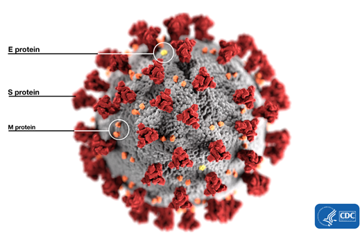 Covid-19 Diagram