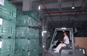 Man Operating a Forklift