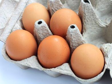 Eggs Contaminated With Salmonella