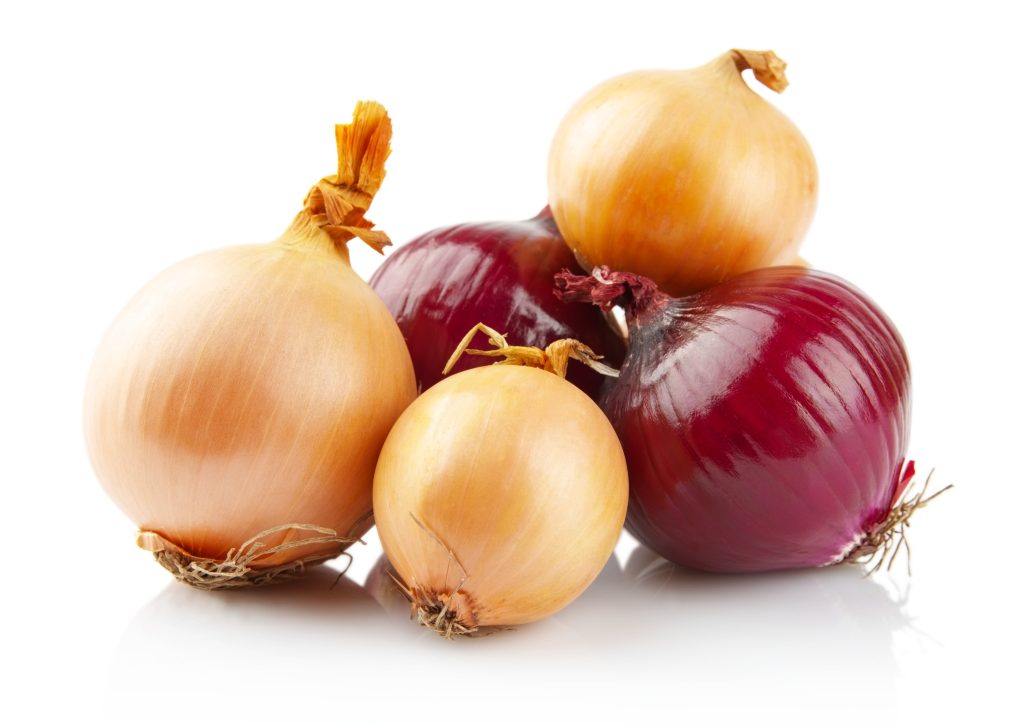 Onions and Salmonella