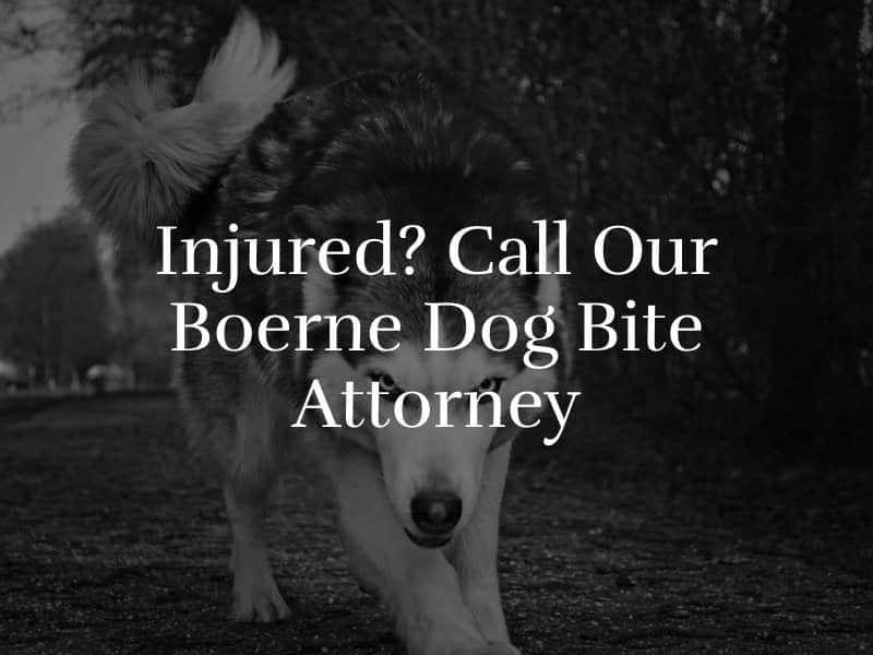 Boerne Dog Bite Attorney