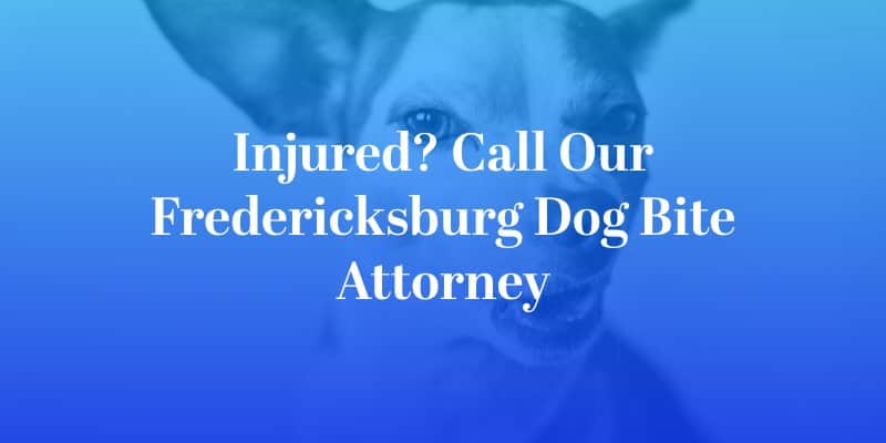 Fredericksburg Dog Bite Attorney