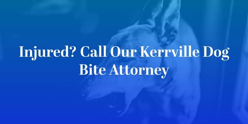 Kerrville Dog Bite Attorney