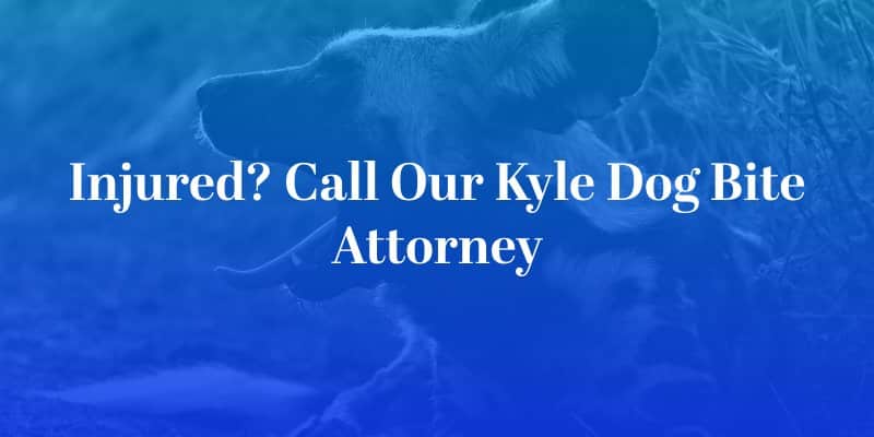 Kyle Dog Bite Attorney