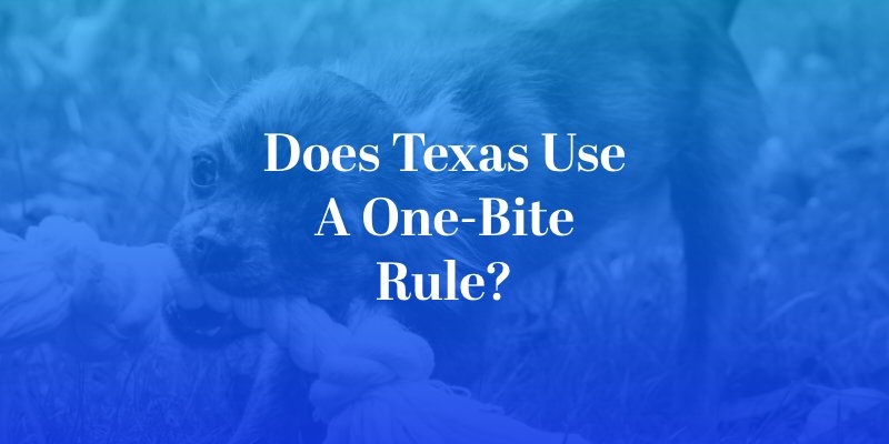 Does Texas Use a One-Bite Rule?